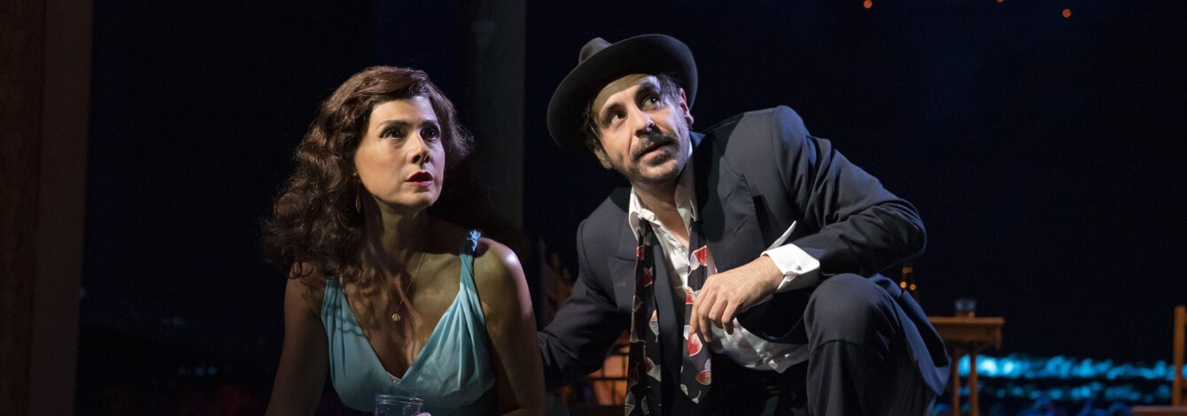 Rose Tattoo Marisa Tomei Broadway Show Group Discount Tickets
