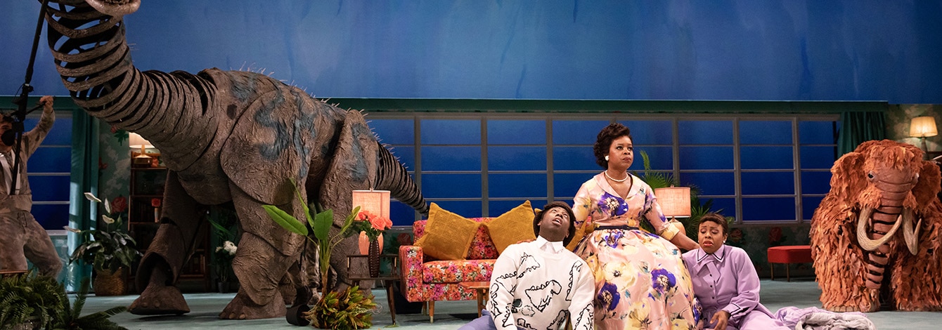 Skin of Our Teeth Broadway Play Group Discounts