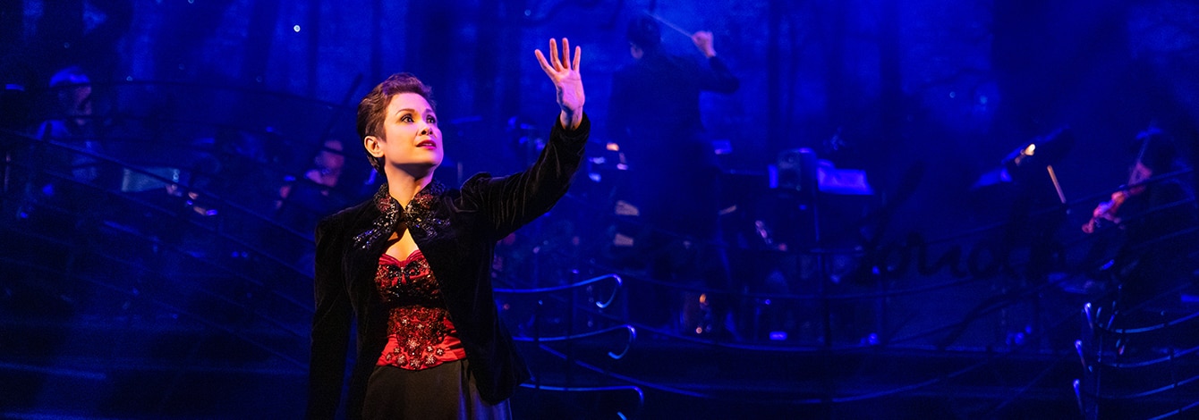 Stephen Sondheims Old Friends Broadway Musical Group Discounts