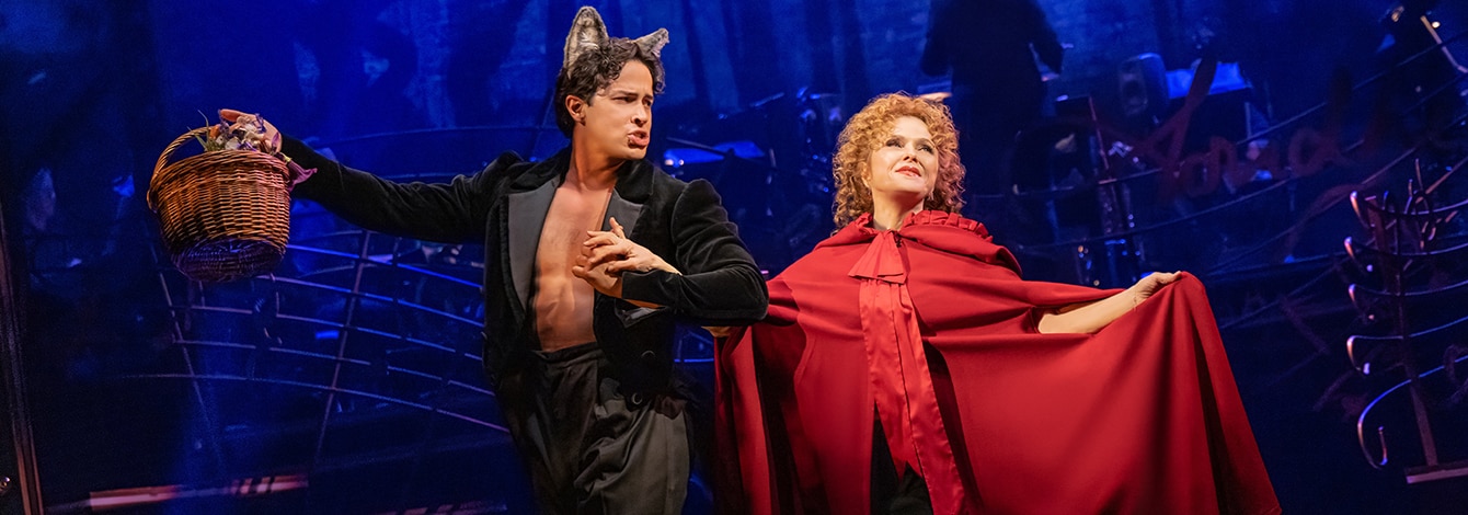 Stephen Sondheims Old Friends Broadway Musical Group Discounts