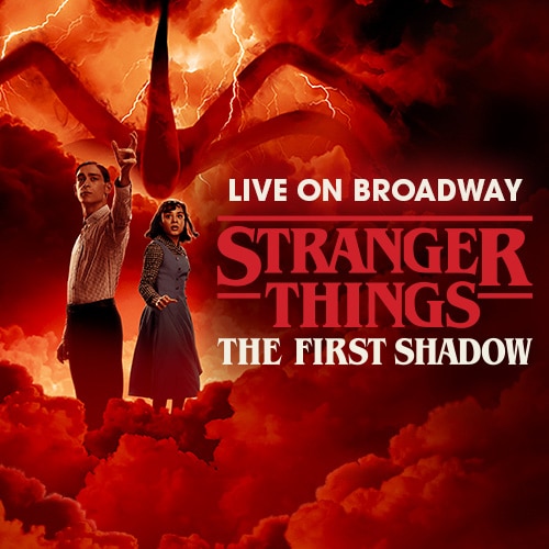 Stranger Things The First Shadow