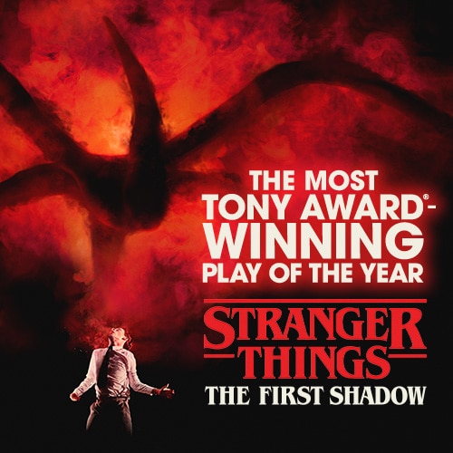 Stranger Things: The First Shadow Tickets | Broadway Inbound
