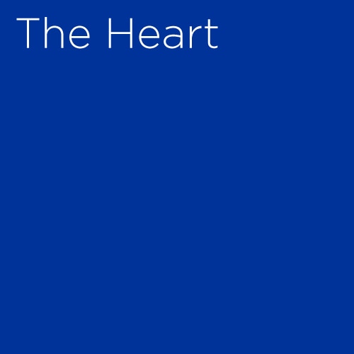 The Heart Broadway Musical Group Discount Tickets