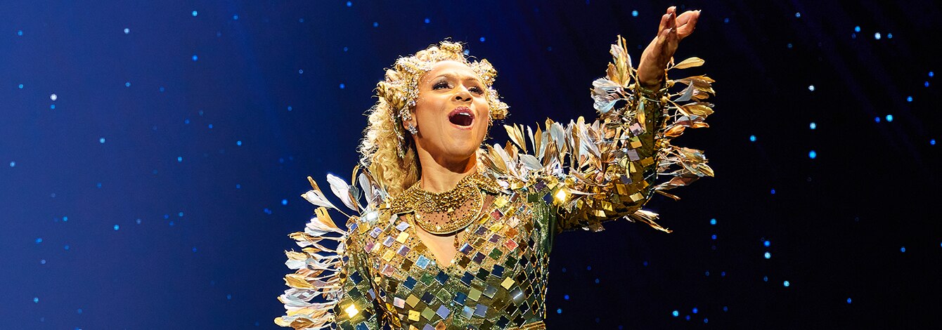 The Wiz Broadway Musical Tickets and Group Sales Discounts